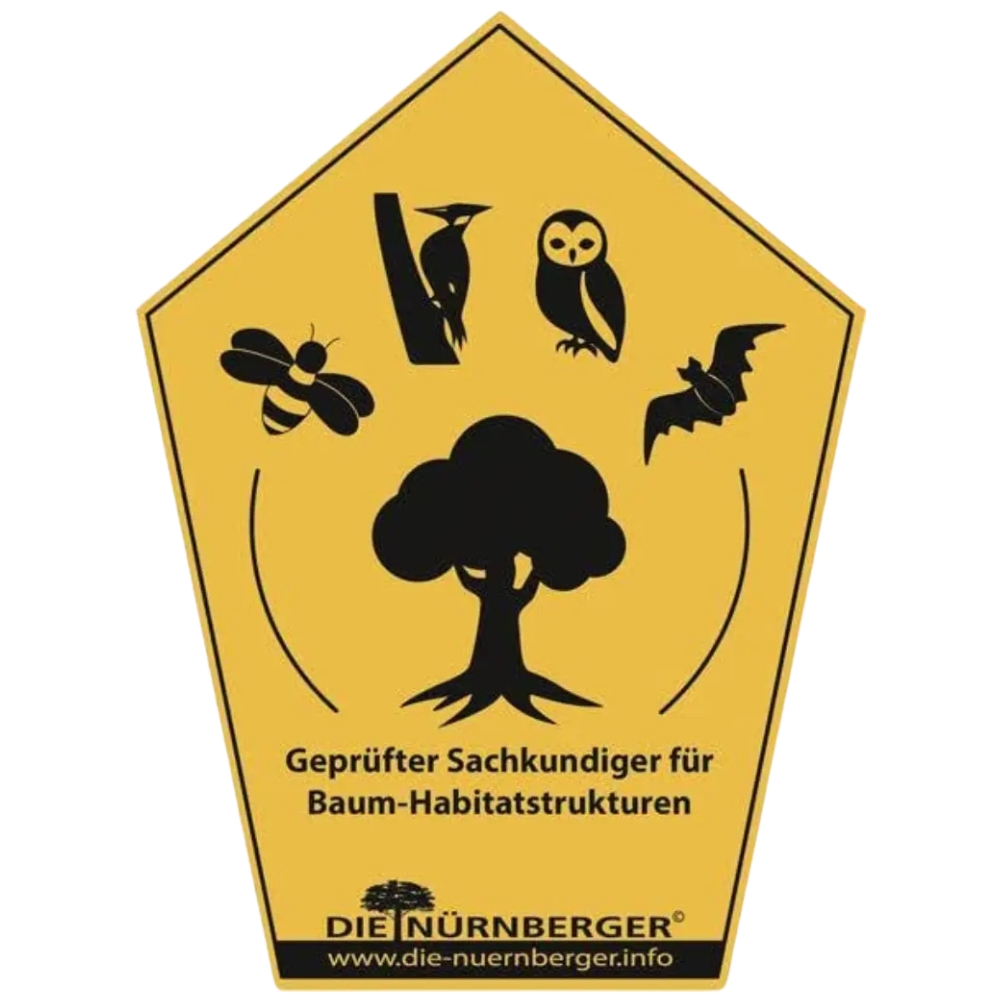 Zertifizierter Sachverständiger für Baum-Habitat-Strukturen (SachBaHa) GreenDay Baumpflege