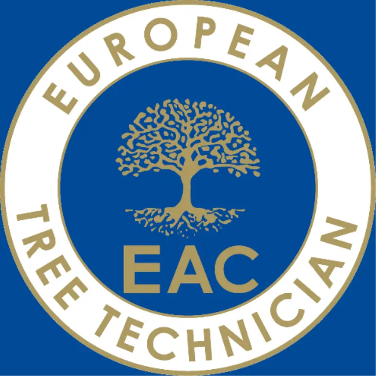 EAC Zertifizierter European Tree Technician | GreenDay Baumpflege
